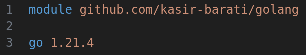 go mod init result is a go.mod file