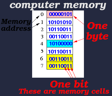 Each byte is 8 bit, and each memory cell has an address.