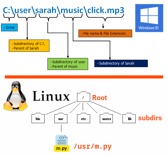 File path in Linux and Windows